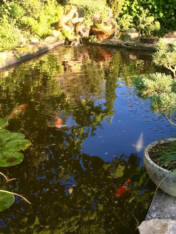 مبيت وإفطار Crain Les Reves D'Angele المظهر الخارجي الصورة